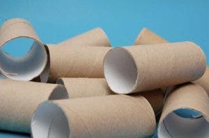 Fa Ons De R Utiliser Les Tubes De Papier Toilette