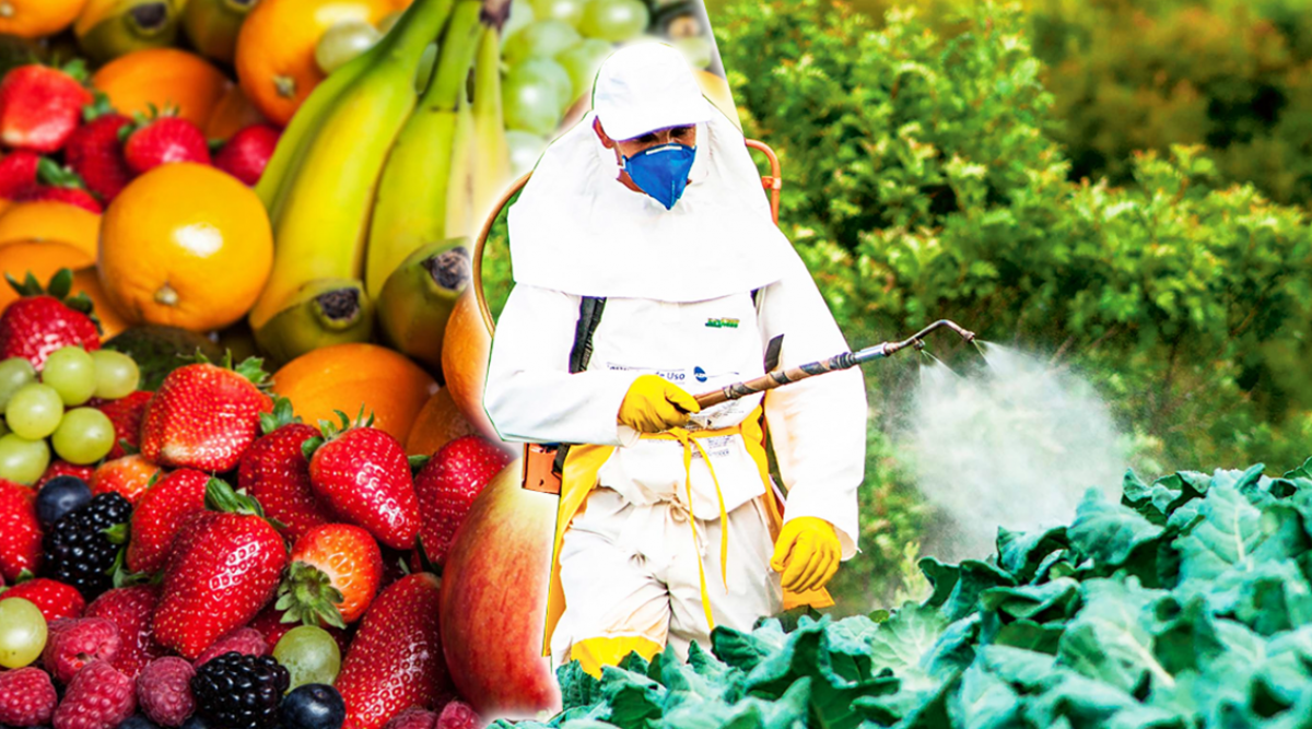 Les Aliments Les Plus Contamin S Par Les Pesticides Et Comment Nettoyer