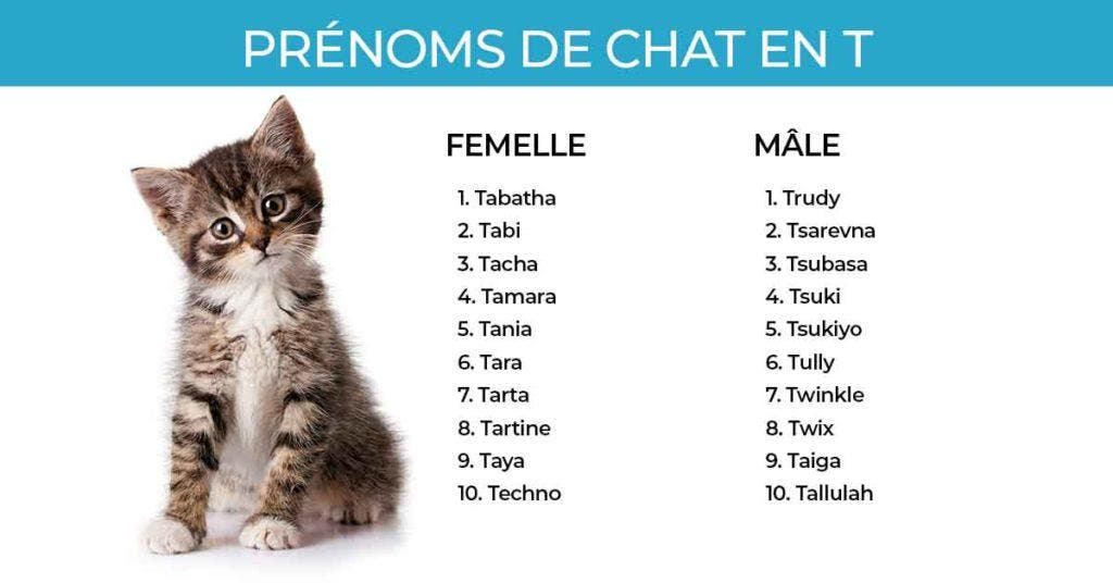 femelle chat prenom