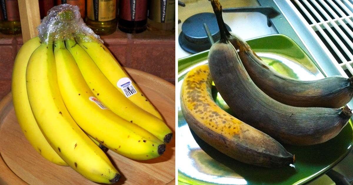 Nos bonnes astuces pour éviter aux bananes de noircir : Femme Actuelle Le  MAG