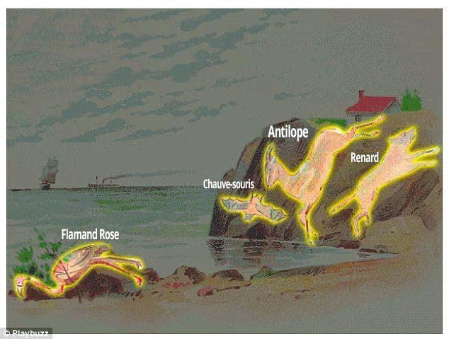 Test d’observation. Trouvez les 4 animaux cachés sur l’image en moins d’une minute