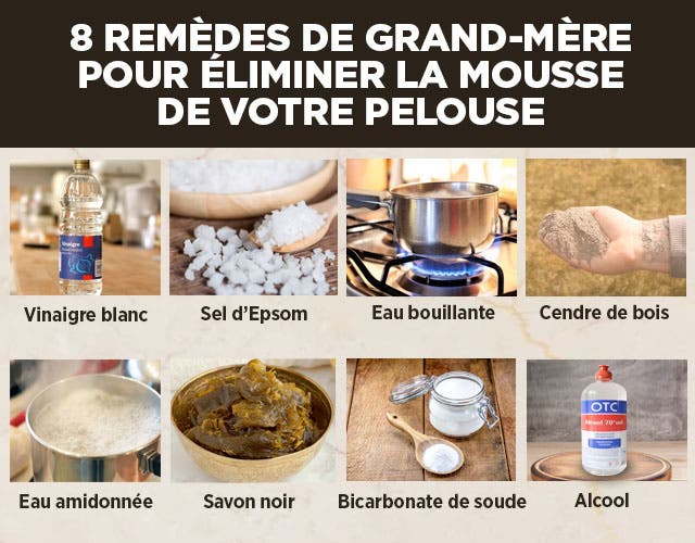 8 remèdes de grand-mère pour éliminer la mousse de votre pelouse