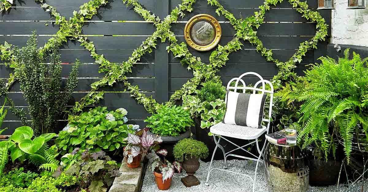 16 petits jardins intérieurs faciles à réaliser