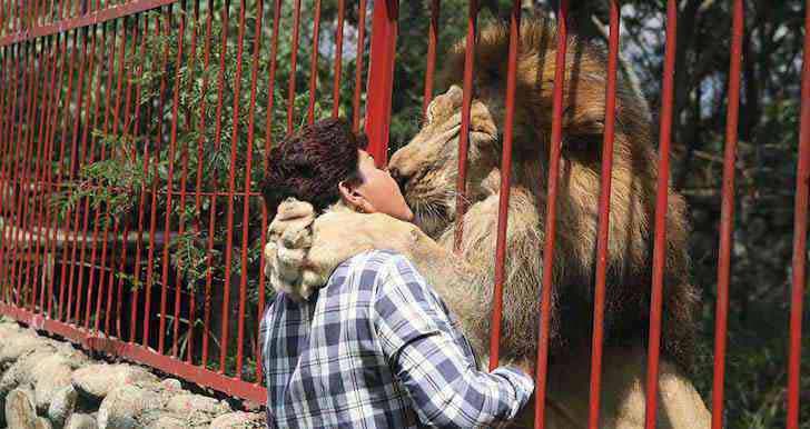 Ana Julia embrasse le lion Jupiter