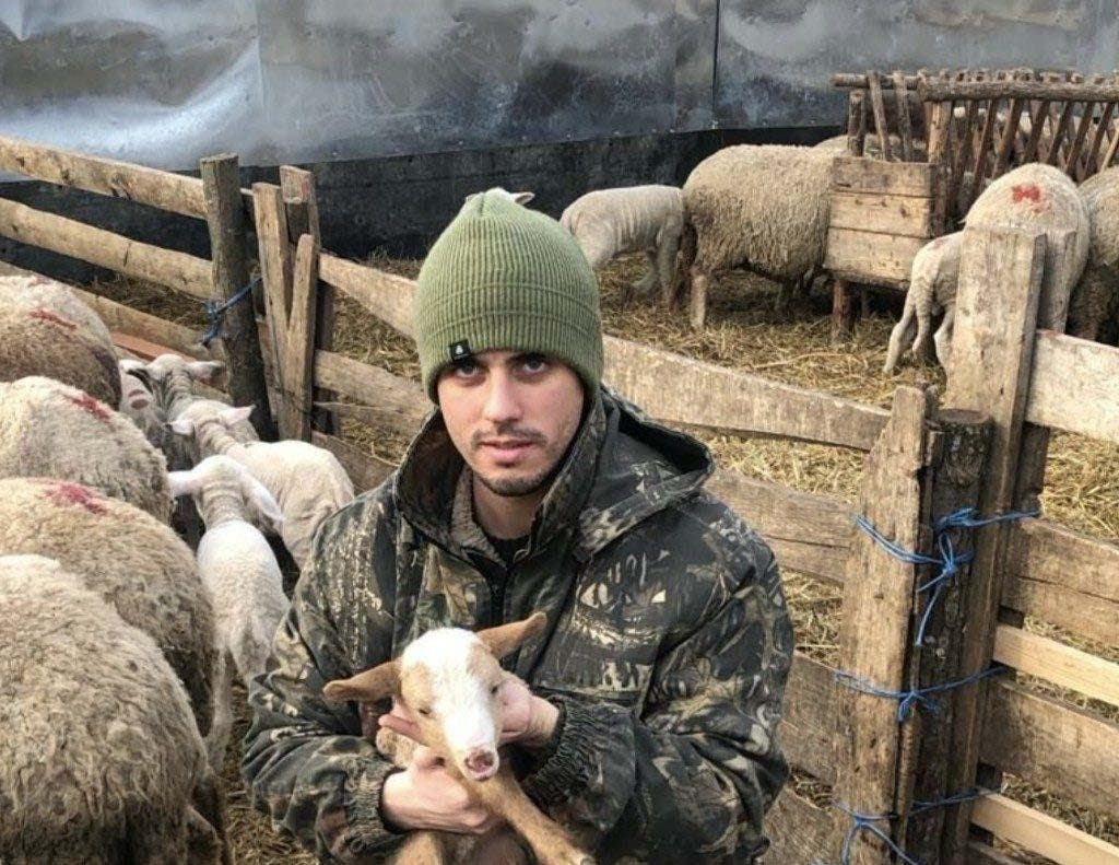 Andrei et ses moutons