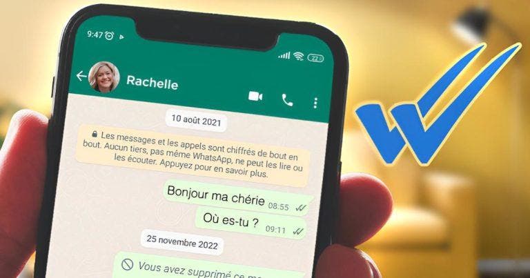 comment savoir qu un message whatsapp a été lu