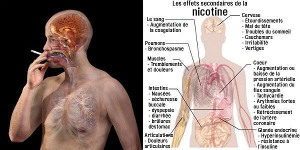 Notice to smokers! These foods will cleanse your body of nicotine