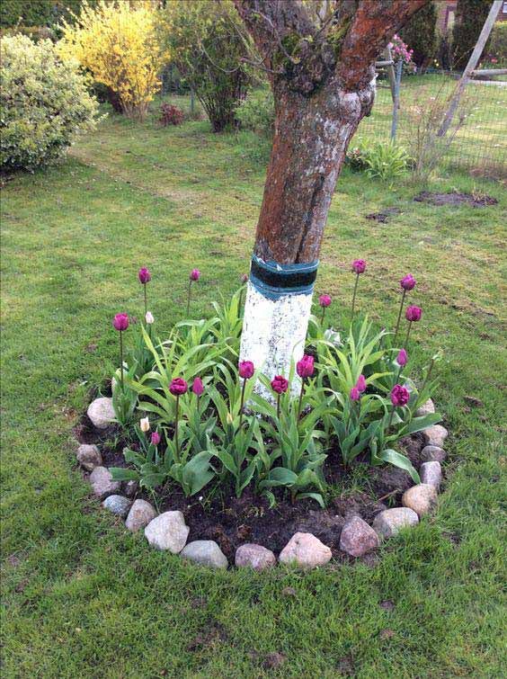 Bordure d’arbre à base de pierres et de tulipes