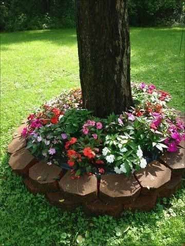 Bordure d’arbre faite de briques et de parterre de fleurs