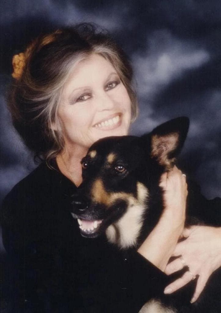 Brigitte Bardot, enlaçant un chien