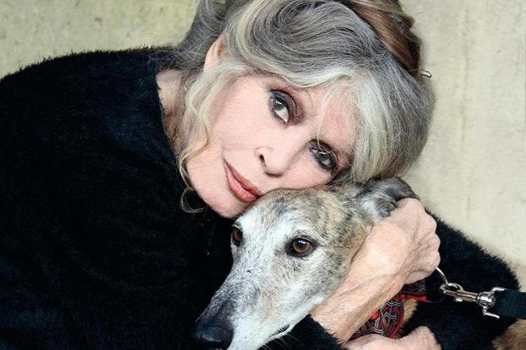 Brigitte Bardot et son amour pour les animaux de compagnie