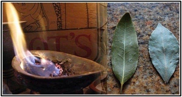 Burn bay leaves in your home and watch what happens after 10 minutes!