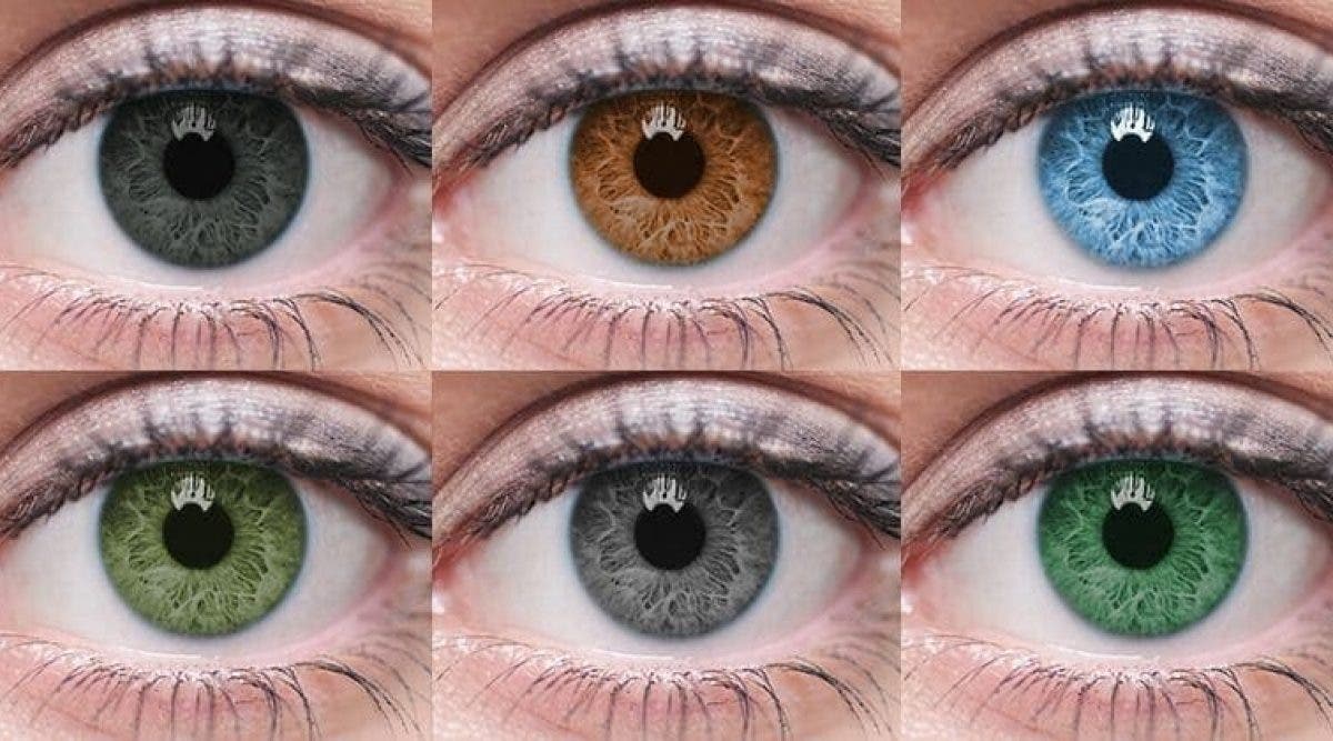 Ce Que La Couleur De Vos Yeux Revele Sur Votre Partenaire Sexuel Ideal