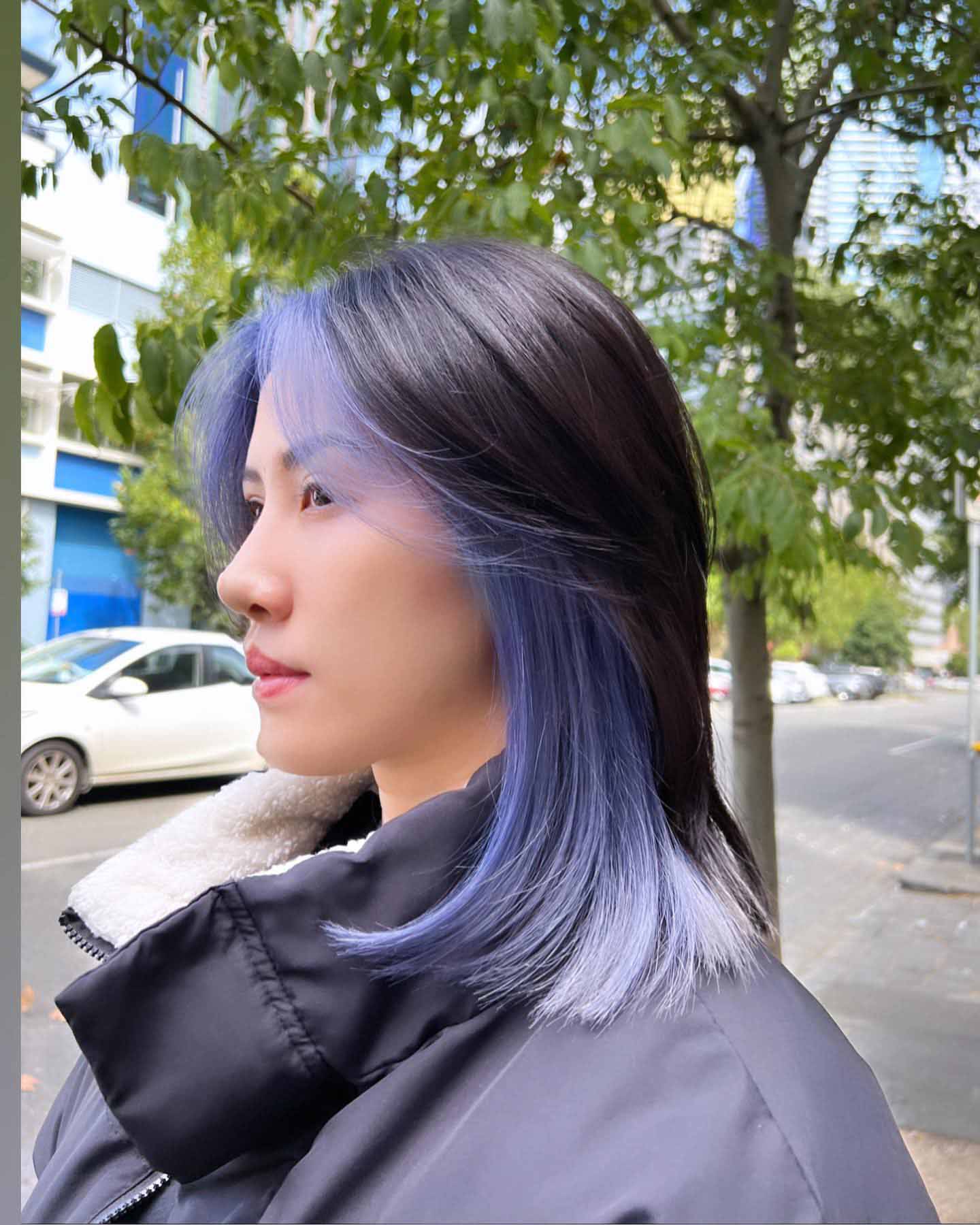 Cheveux bleus et noirs bicolores