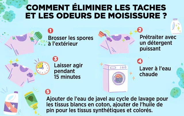 Comment éliminer les taches et les odeurs de moisissure