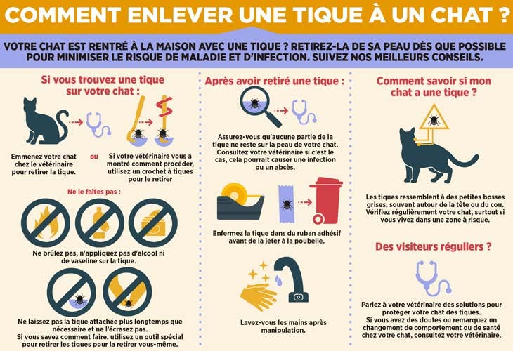 Comment enlever une tique sur un chat