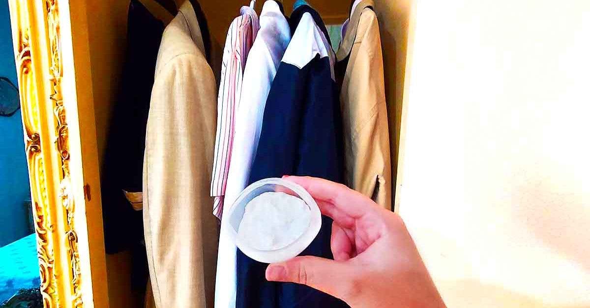 Comment éliminer la moisissure dans une armoire ? 7 astuces top