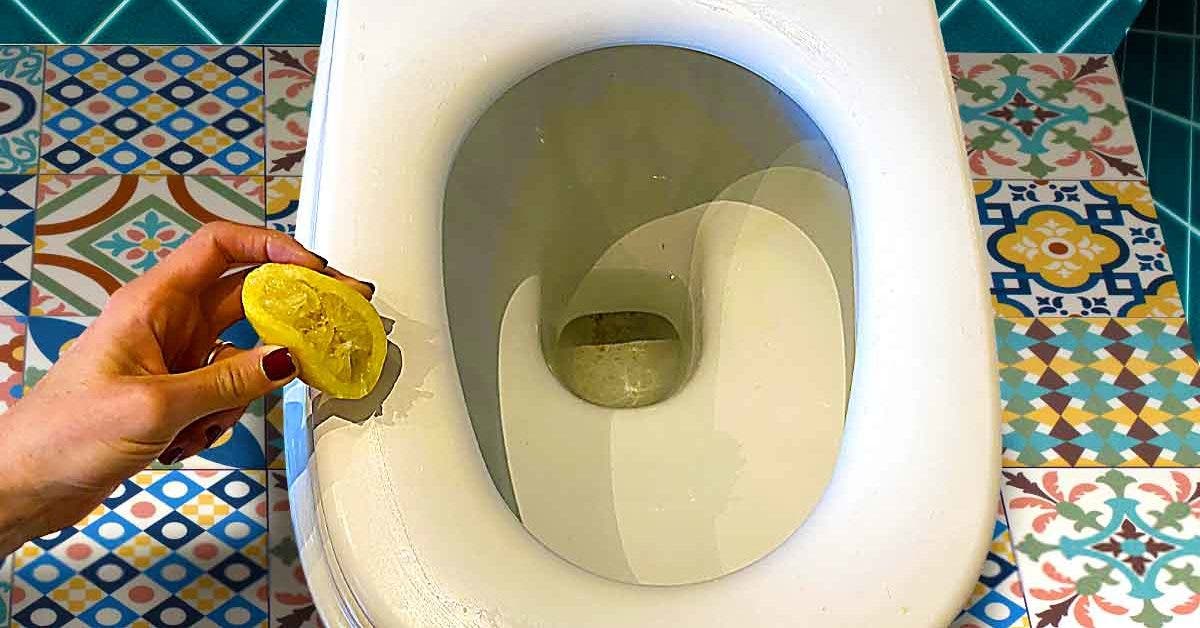 Hygiène : Après les chaussons qui sentent bon, un Nordiste invente un  nettoyant de lunettes… de toilettes