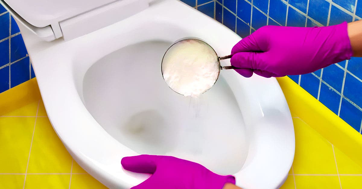 Comment nettoyer cuvette wc? 5 façon pour nettoyer cuvette wc - Tilswall