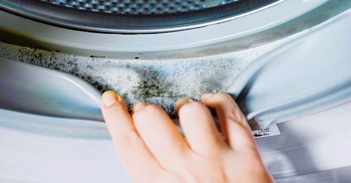 Comment nettoyer le joint de la machine à laver ?