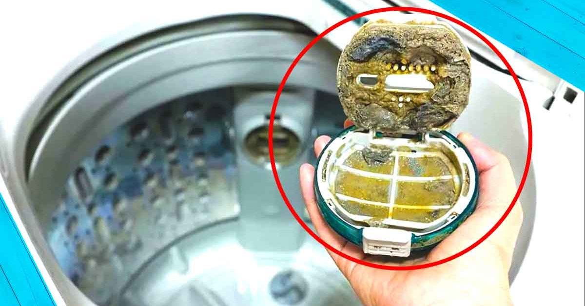 Comment nettoyer le filtre de vidange d'une machine à laver 