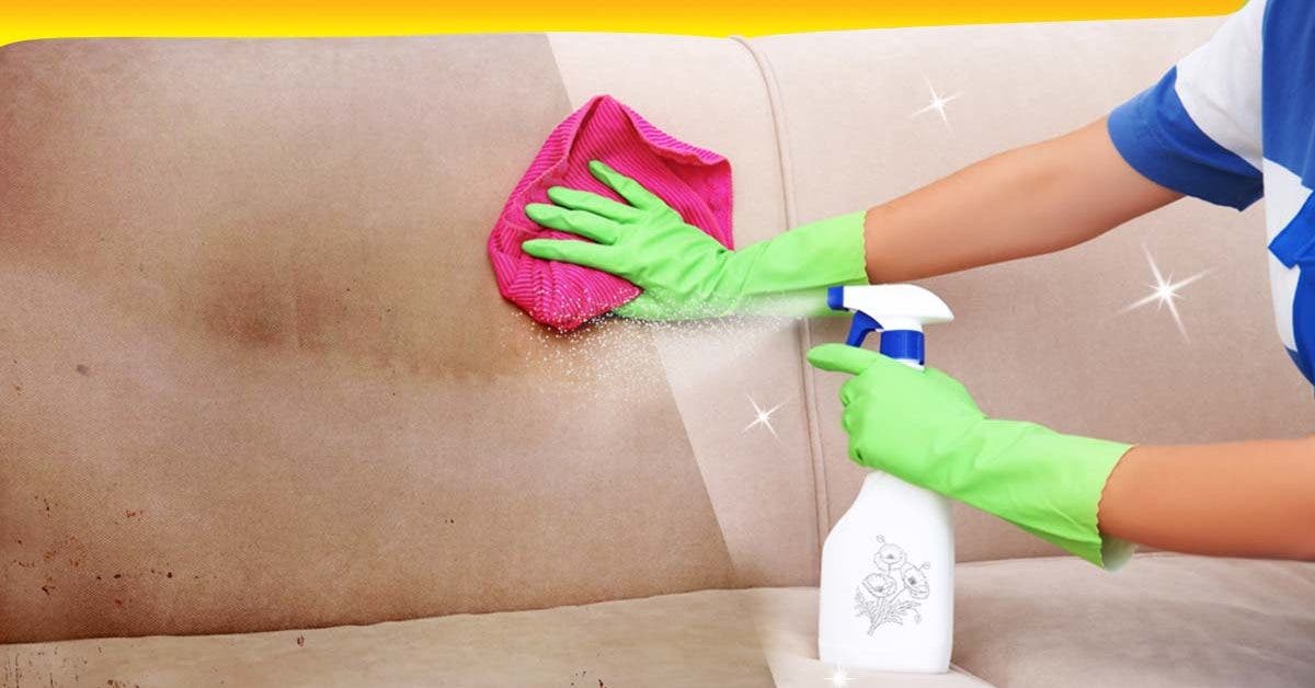 Nettoyer un canapé en daim : les astuces efficaces 
