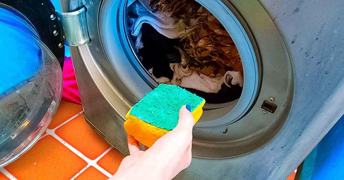 3 astuces pour éliminer les poils d'animaux de la machine à laver