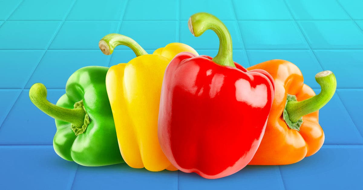 Rouge, vert, jaune, orange: quel goût a chaque couleur de poivron