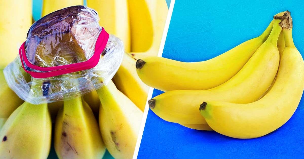 L'Astuce Secrète Pour Conserver les Bananes Fraîches Plus Longtemps.