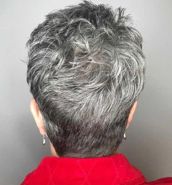 Coupe courte sur cheveux poivre et sel