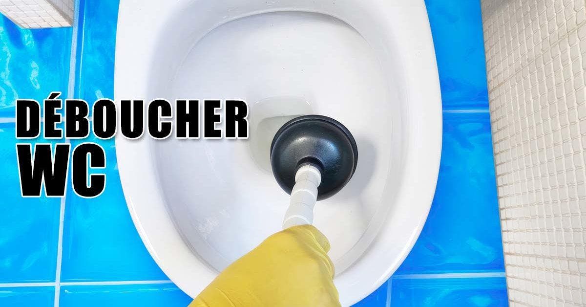 Déboucher WC : 12 astuces pour débloquer les canalisations des toilettes