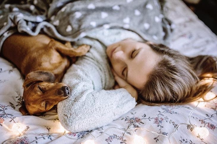 Dormir avec son chien. source : spm