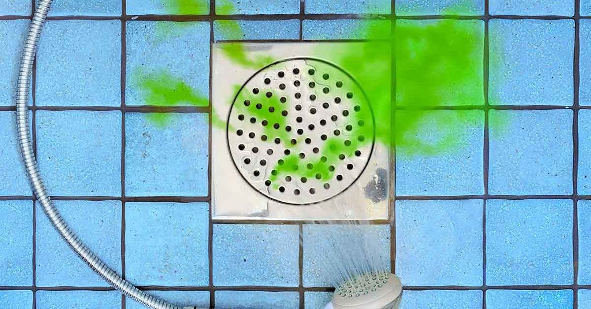 Mauvaises odeurs de canalisations : 5 secrets pour les éliminer !