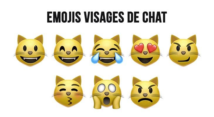 Signification des émojis visages de chat