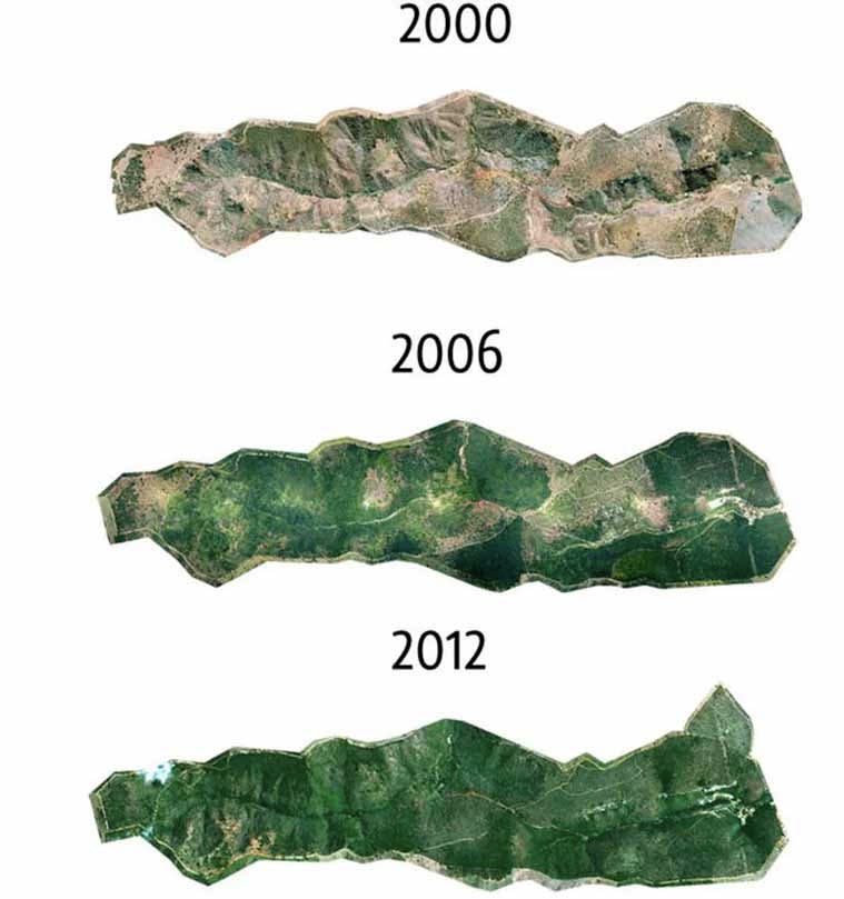Evolution du projet de reforestation de 2000 à 2012