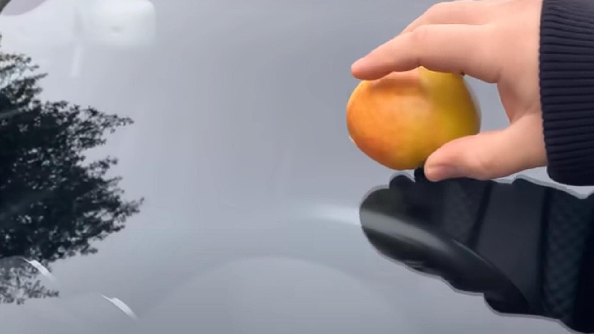 Frotter une pomme sur le pare-brise de la voiture