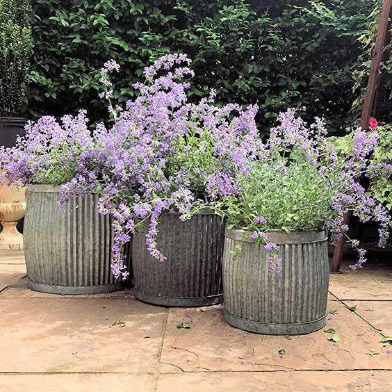 Grands pots d’extérieur en acier galvanisé