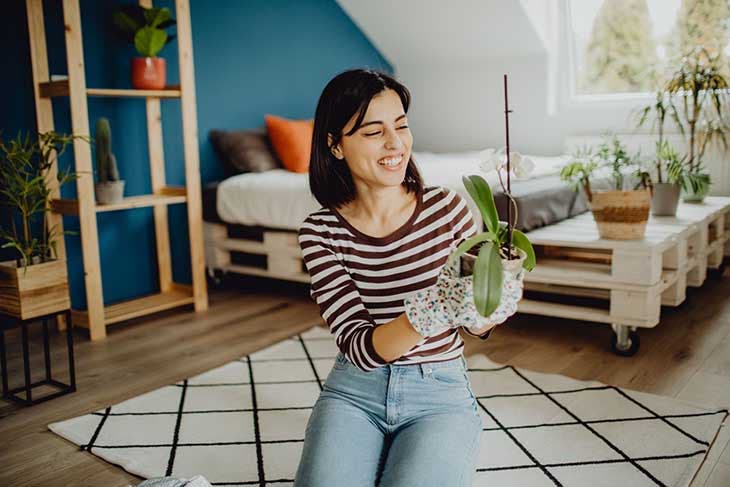 Installer des plantes dans la chambre à coucher