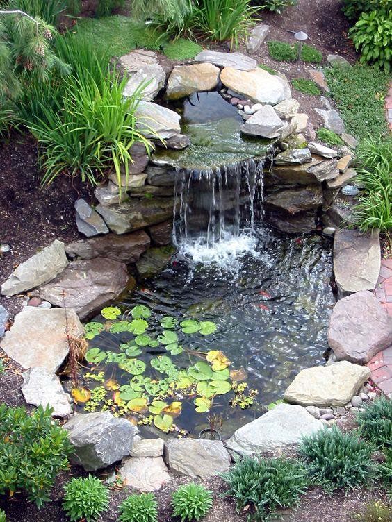 Jardin de rocaille avec cascade et bassin à carpes koï