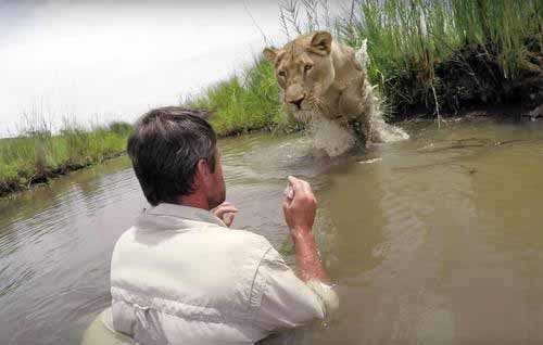 Kevin Richardson et le lion