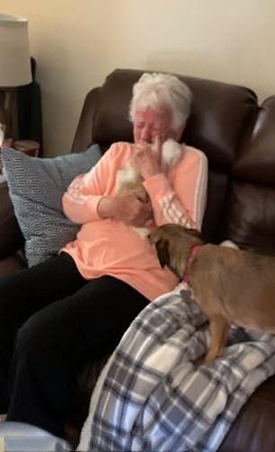 La grand-mère serre le chiot dans ses bras