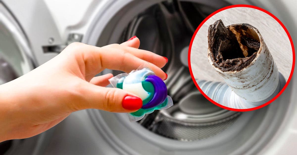 La lessive en capsule endommage-t-elle la machine à laver ?