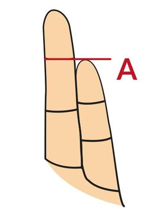 La Longueur De Votre Petit Doigt Révèle Des Aspects Cachés - 