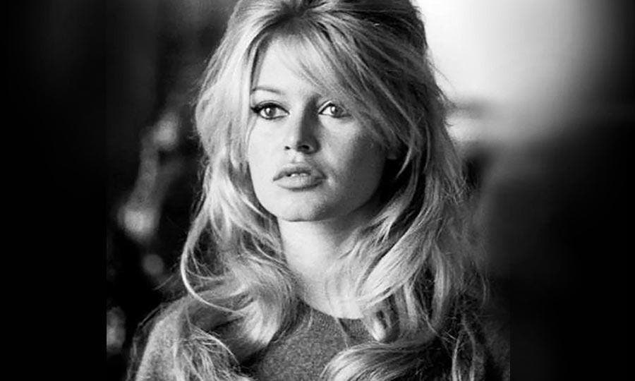 La sensualité de Brigitte Bardot en une image