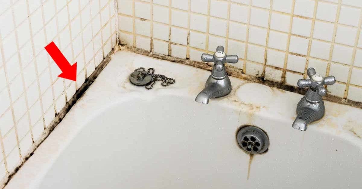 Moisussure sur joints de carrelage de salle de bain