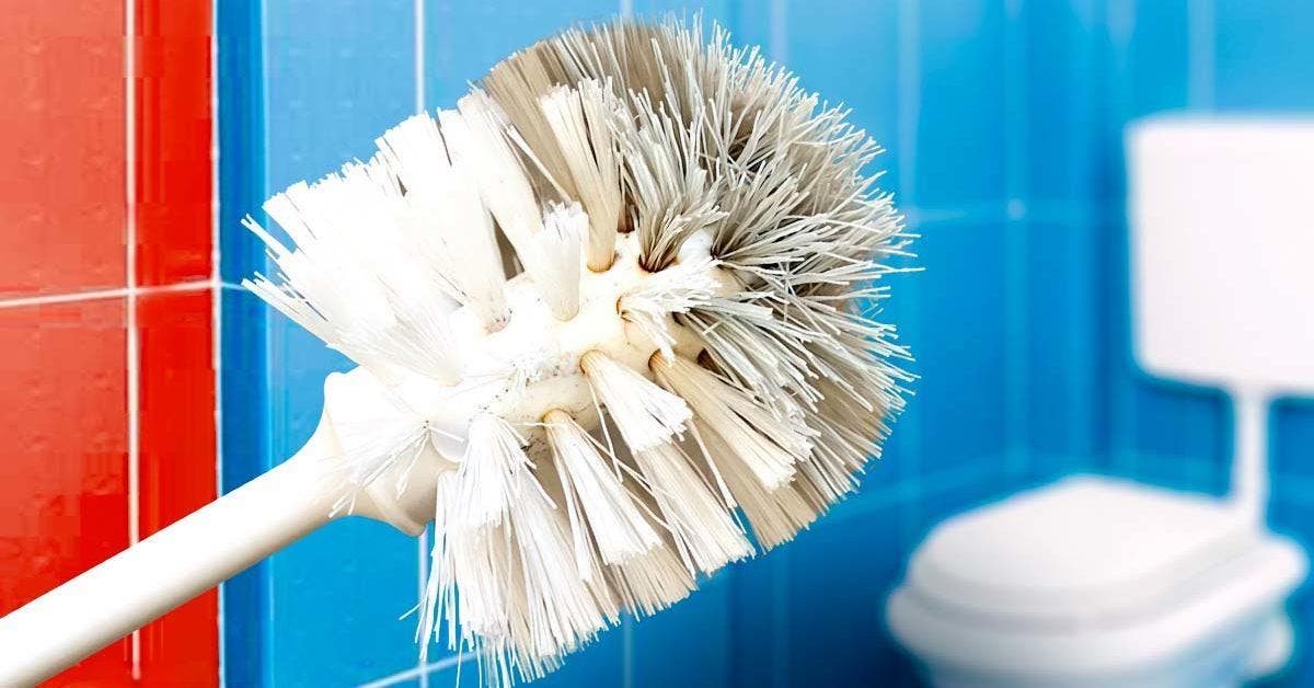 Comment nettoyer et désinfecter la brosse des WC ?