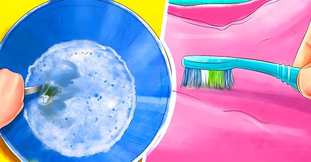 Comment enlever de la moisissure sur du tissu ? 8 astuces