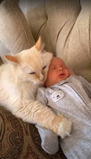 Le chat Teddy sert le bébé William