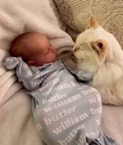 Le chat allongé à côté du bébé William