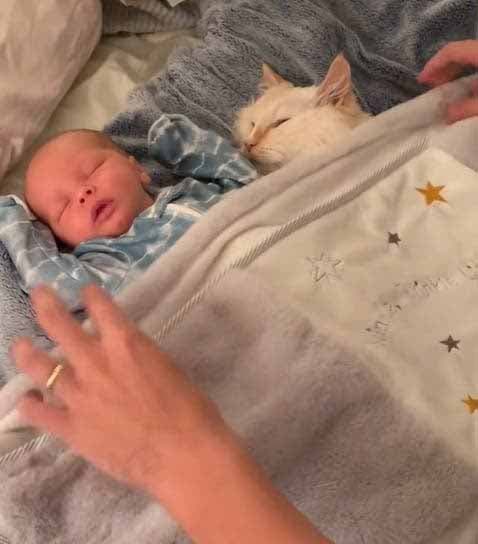 Le chat dort à côté du bébé William